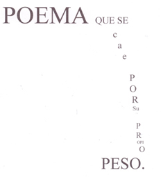 poema que se cae por su propio peso copyright nel amaro courtesy from the artist to klauss van damme all rights reserved